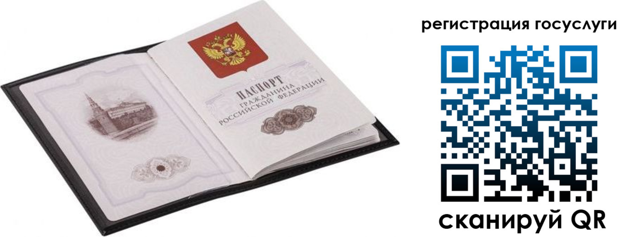 временная регистрация поиск в Электрогорске